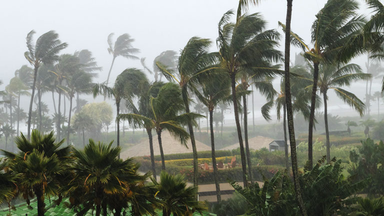 a yoga studio ready for it's next class                 